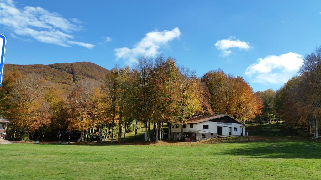 Martini Alle Logge Castel del Piano (Tuscany) Bagian luar foto